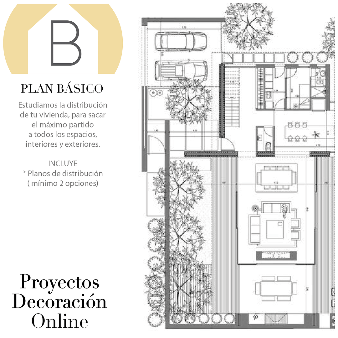 delineación online
