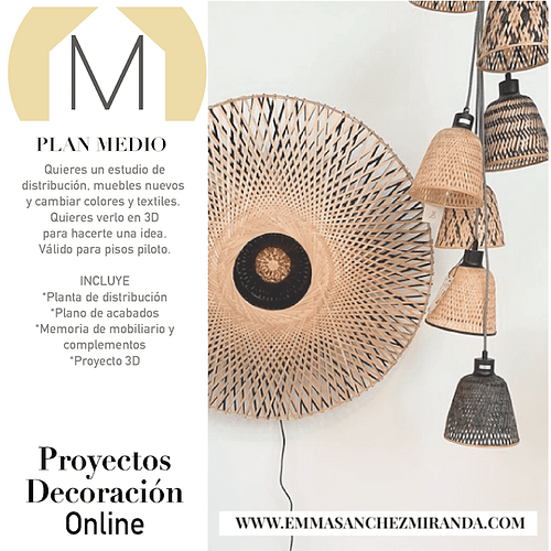 Proyecto online